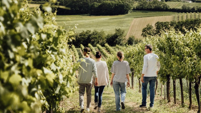 Weingartenspaziergang, © Weinviertel Tourismus _ Sophie Menegaldo Weingartenspaziergang, © Weinviertel Tourismus _ Sophie Menegaldo