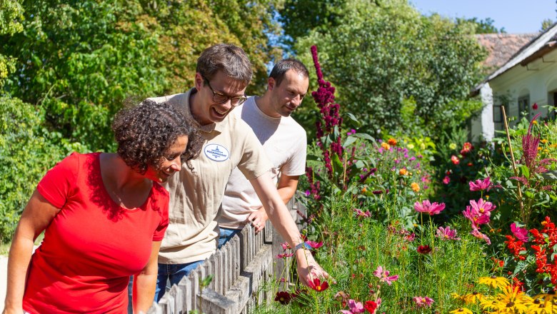 Bl&uuml;hende Vorg&auml;rten, &copy; Roman Jandl