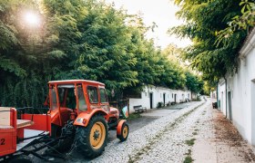 Poysdorf Radyweg, © Niederösterreich Werbung/Romeo Felsenreich