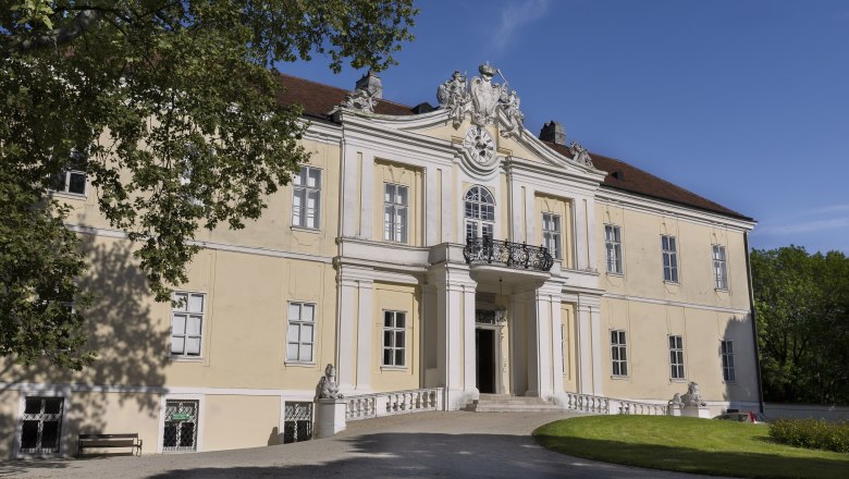 Schloss Wilfersdorf mit gelber Fassade und barockem Eingang.