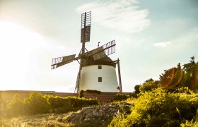 Windmühle Retz, © Weinviertel Tourismus