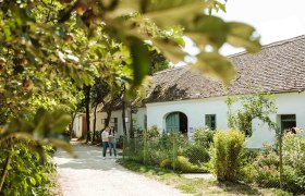 Museumsdorf Niedersulz, © Weinviertel Tourismus / Michael Reidinger